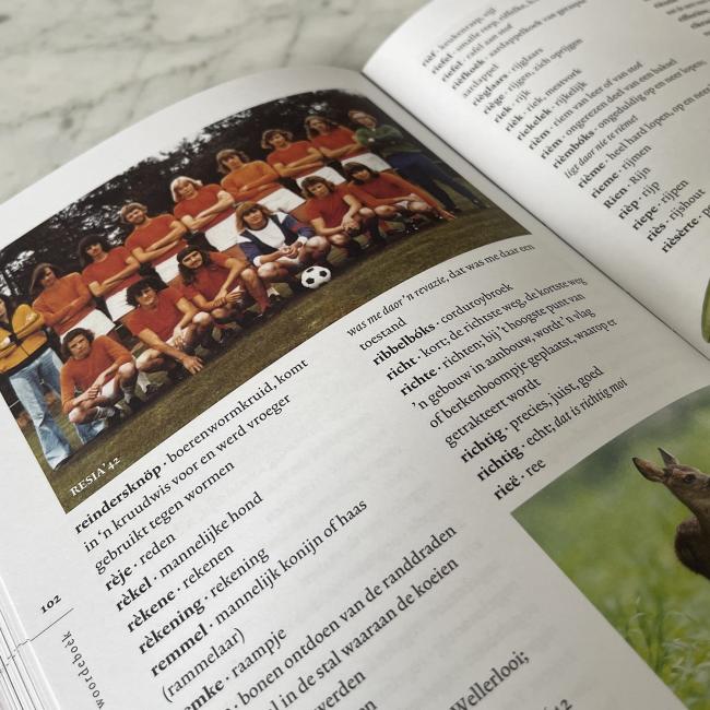 Lois of Lots woordenboek