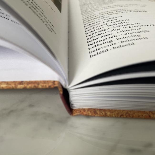 Lois of Lots woordenboek